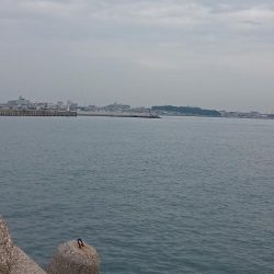 ロクマルマゴチ