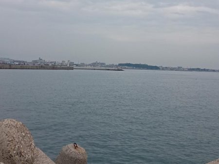 ロクマルマゴチ