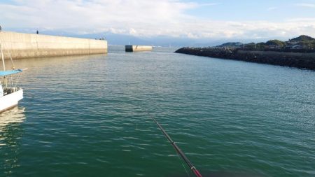 今治出張中　休み取れましたのでフカセ釣り✨