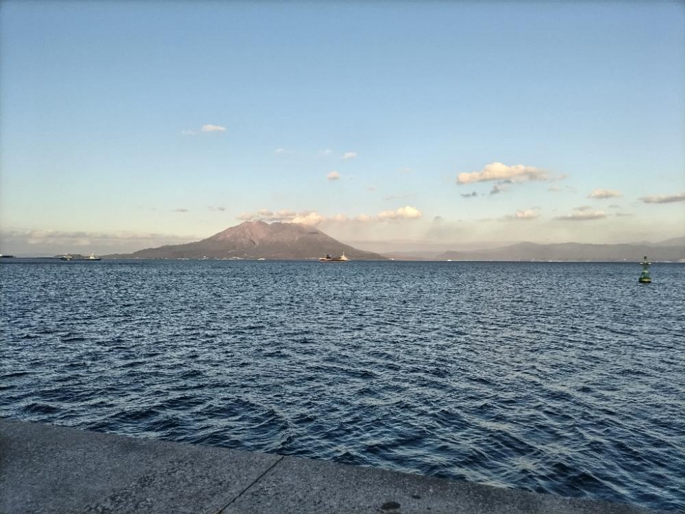 オオモンハタとデッカサゴ!