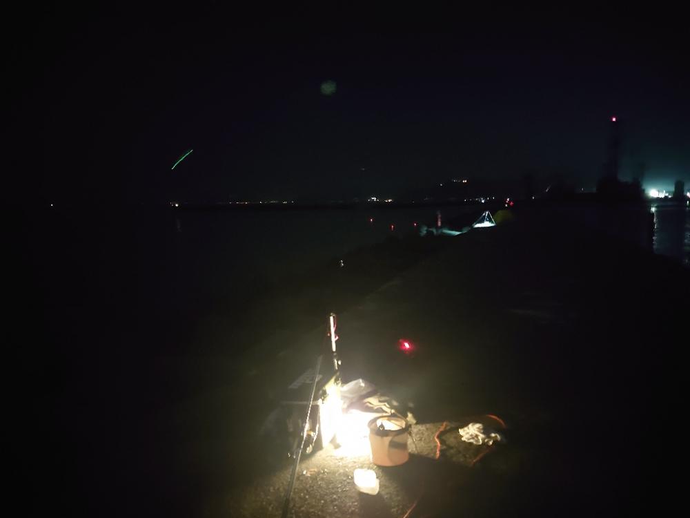 今季初アジ狙いのカゴ釣り🎣