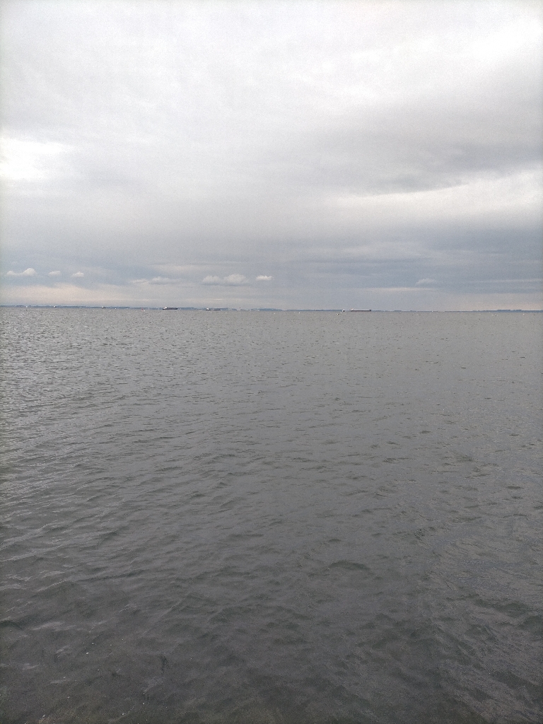 サワラジャンプとナブラとシーバス