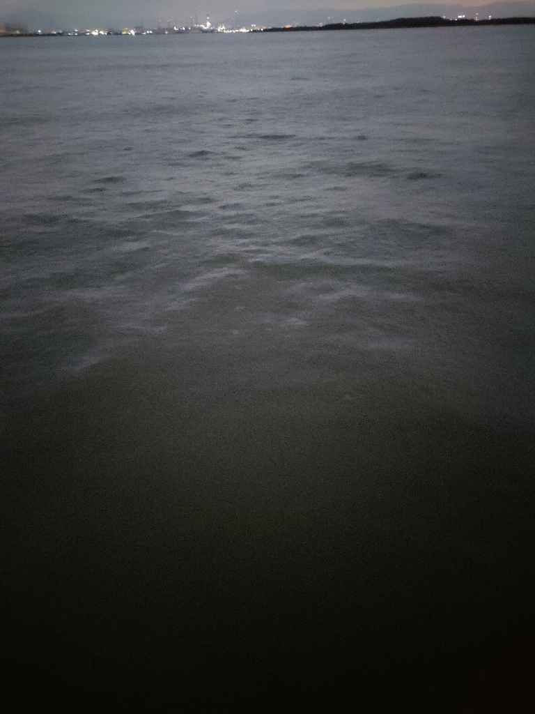 今期いち、タチウオ