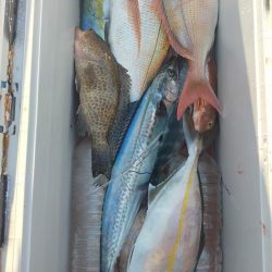 やっちゃったぁ〜…