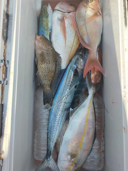 やっちゃったぁ〜…