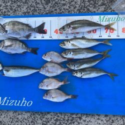 秋の筏釣り