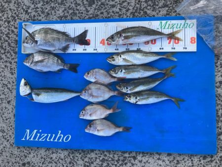 秋の筏釣り