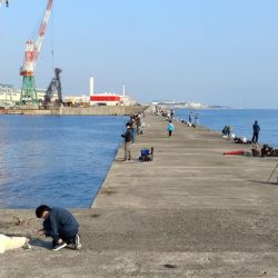 僅かな時合いを捉える事が出来ました