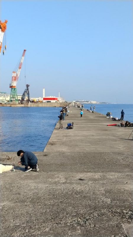 僅かな時合いを捉える事が出来ました