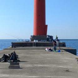 良型キスが揃いました