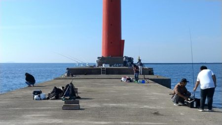 良型キスが揃いました