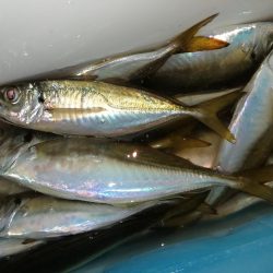 気分を変え場所を変え