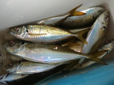 気分を変え場所を変え