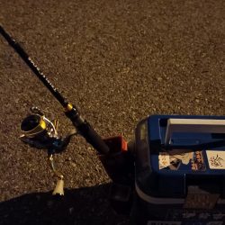 2023/11/08 南港ライトゲーム釣行 (小アジ狙い)