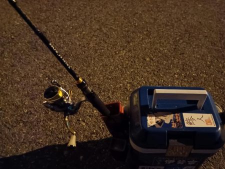 2023/11/08 南港ライトゲーム釣行 (小アジ狙い)