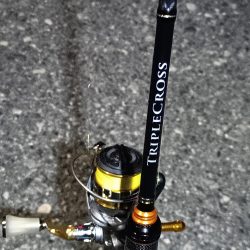 2023/11/09 南港ライトゲーム釣行 (小アジ狙い)