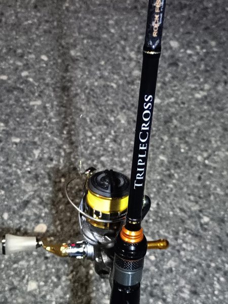 2023/11/09 南港ライトゲーム釣行 (小アジ狙い)