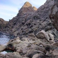 美味しい根魚アンド脳汁ドッバドバ。