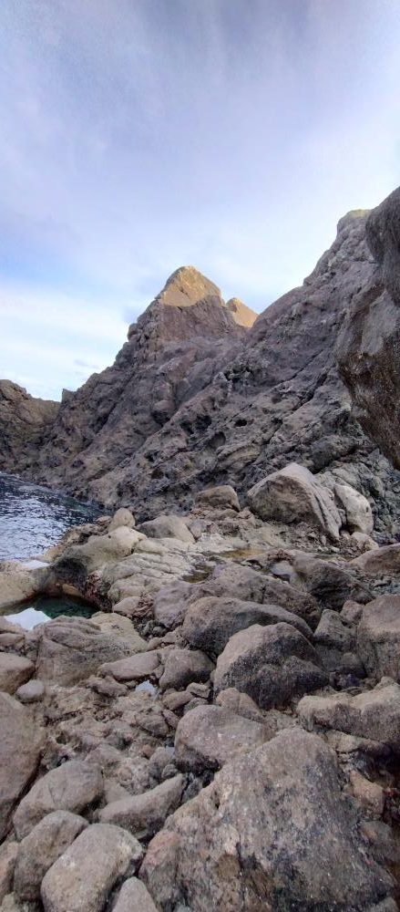 美味しい根魚アンド脳汁ドッバドバ。