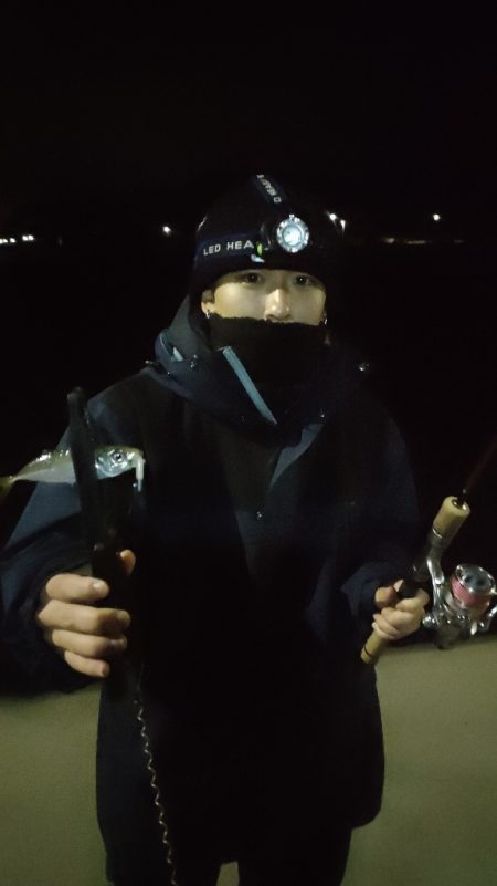 今週もライトソルト