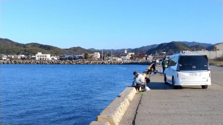 淡路都志港の落ちギス調査