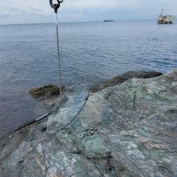 ボラに疲れました・・・