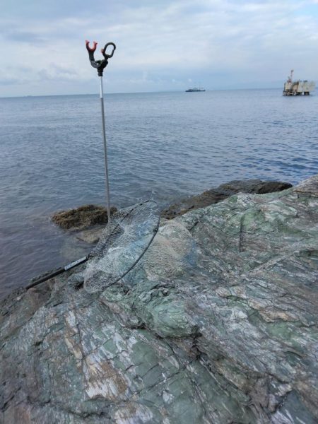 ボラに疲れました・・・