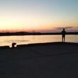 大潮の日の青物