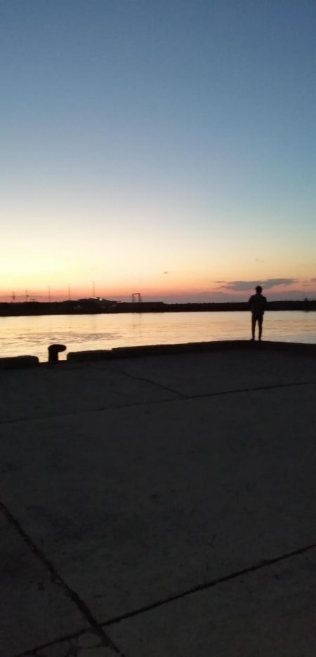 大潮の日の青物