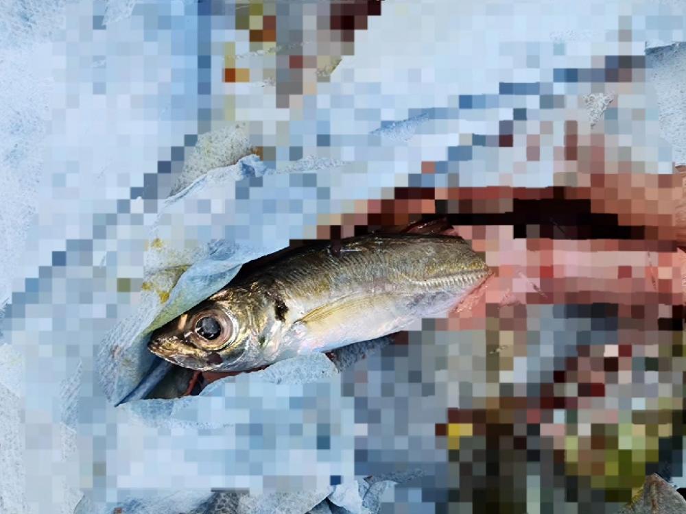 飲ませ3戦目🎣