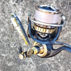 まさかのサワラ♪