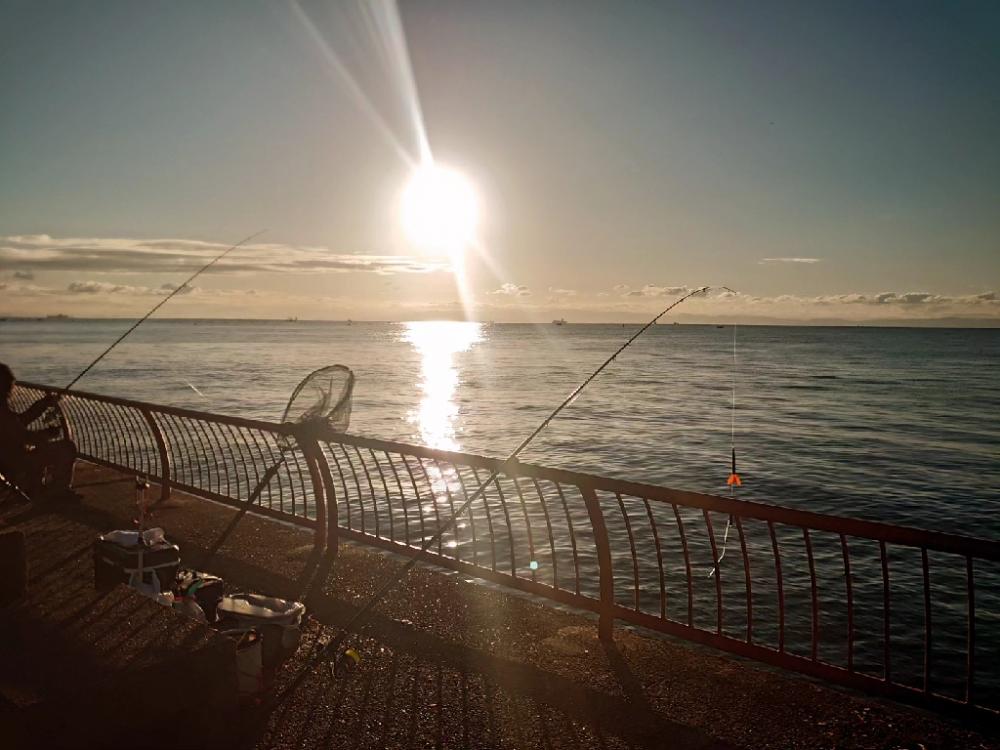 マダイ狙いの遠投カゴ釣り🎣