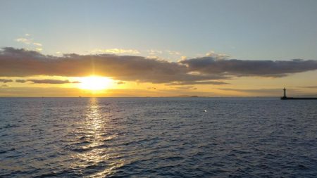 播磨新島のキス調査