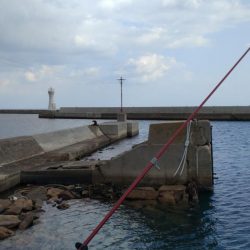 ラスト淡路釣行