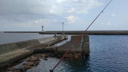 ラスト淡路釣行