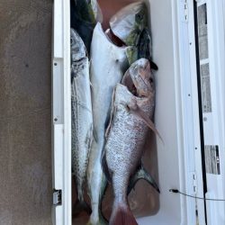 丹後半島沖ジギング船爆釣