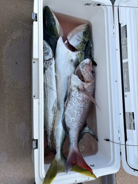 丹後半島沖ジギング船爆釣