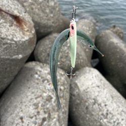 まだいました！