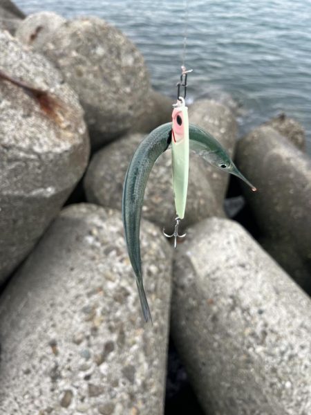 まだいました！