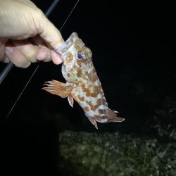 イベント釣行 3