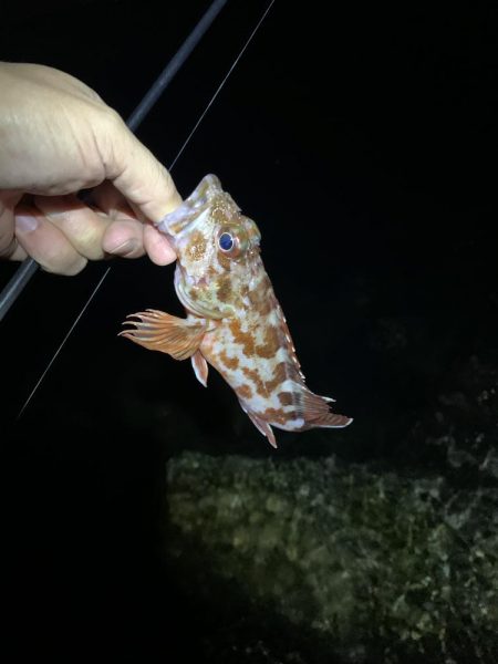 イベント釣行 3