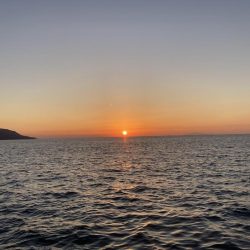 コッパの数釣り