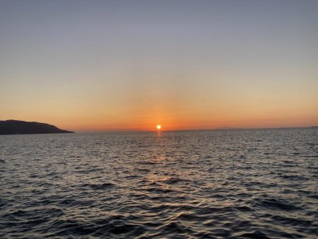 コッパの数釣り