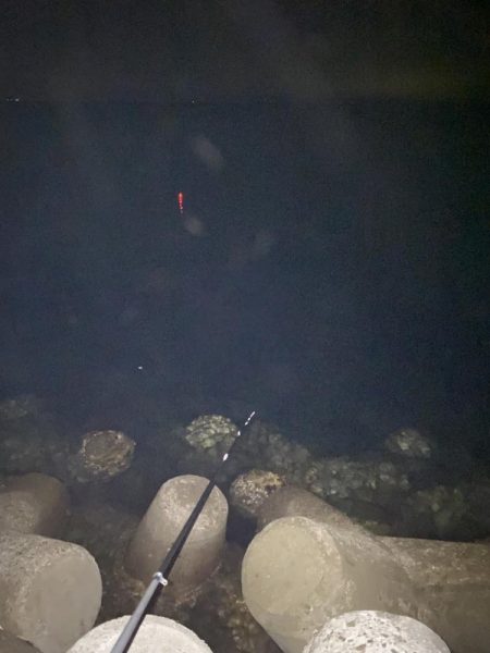 アジを求めて…