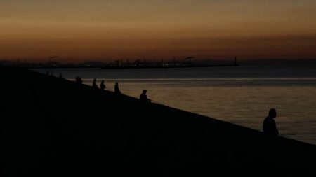 チヌ & コブダイ