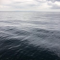エギング　佐渡遠征⑥