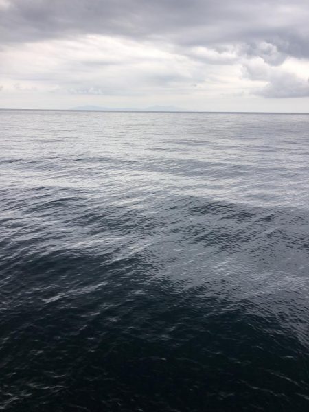 エギング　佐渡遠征⑥