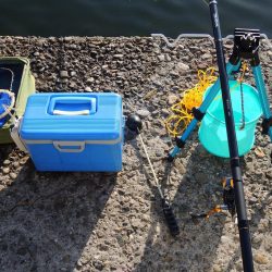 エビ撒き釣り 魚種は多いが小型