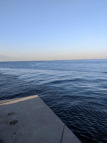 アコウメジメジ