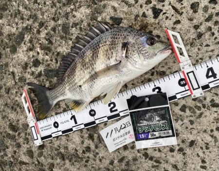 先日から冷え込み